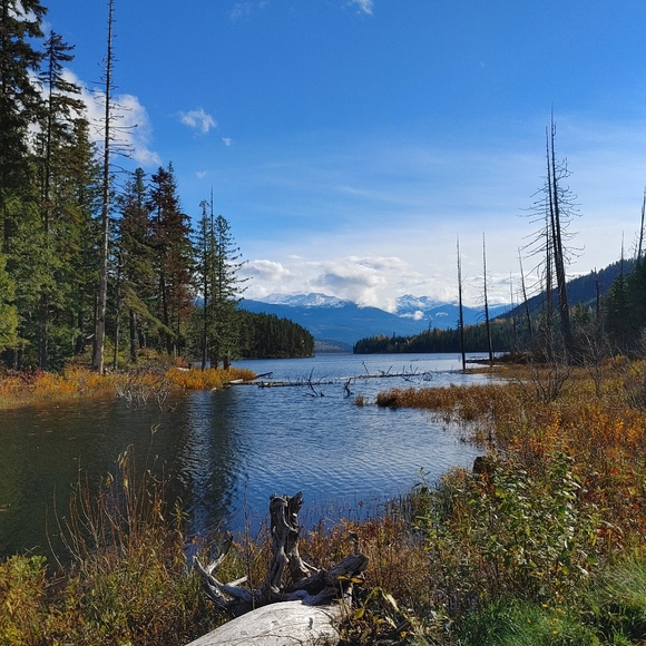 Meet your Posher, Joan - Picture 2 of 2